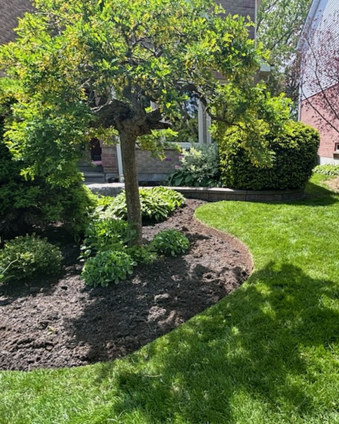 Garden Clean-up
